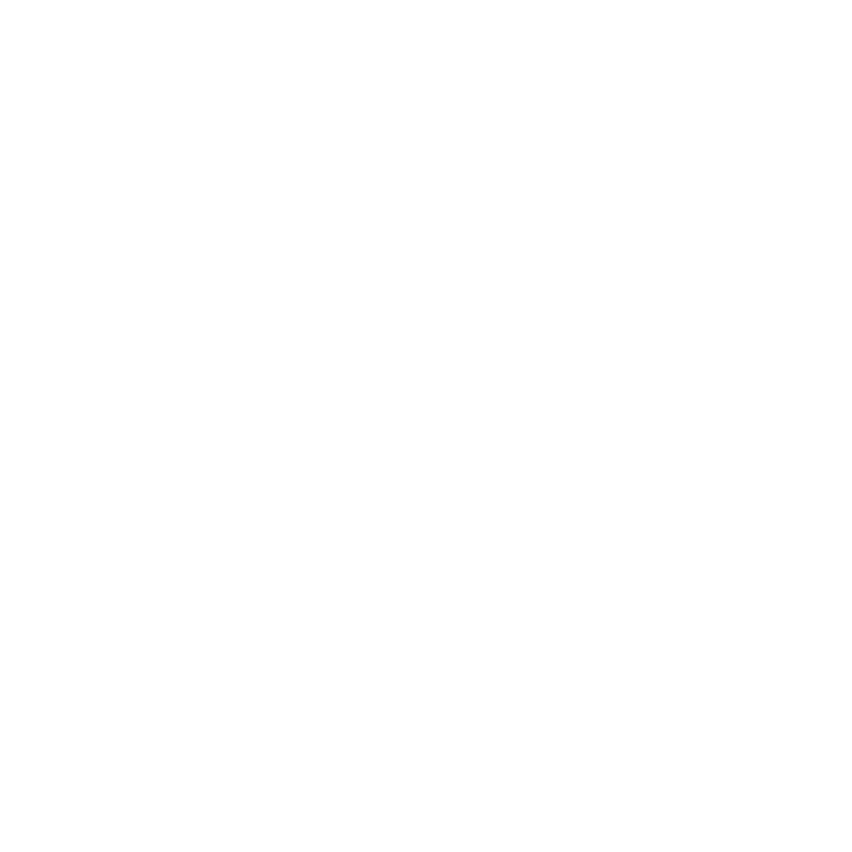 Painesville logo