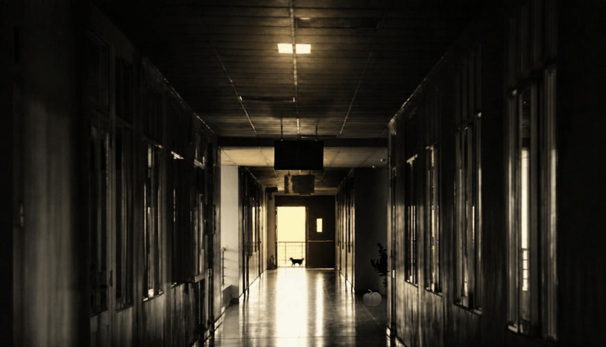 a hallway in a business with poor lighting and an eerie glow